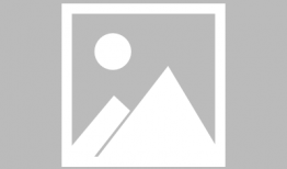 蚂蚁漫画图片,微观世界中的趣味冒险